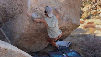 Misty Mountain v5, Joshua Tree - Beta Video from breakingbeta