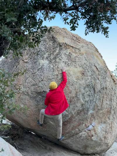 Nothing But Sunshine v8, Horse Flats - Beta Video from advian