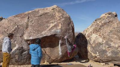 Dream Sequence v6, Joshua Tree - Beta Video from anniemng