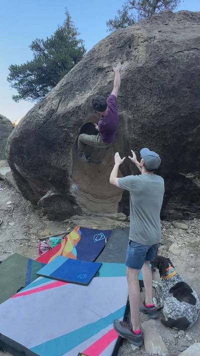 External Tulips v7, Joe's Valley - Beta Video from MorganP