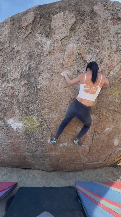 Perfectly Chicken v5, Bishop - Beta Video from joannewuhoo