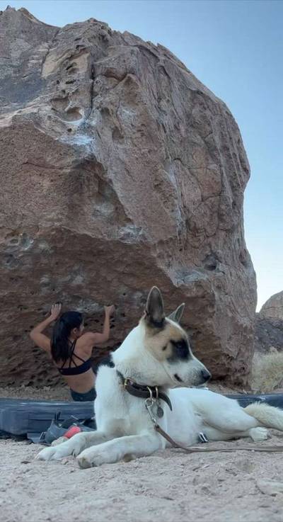 Groundwater v5, Bishop - Beta Video from emilyspowis