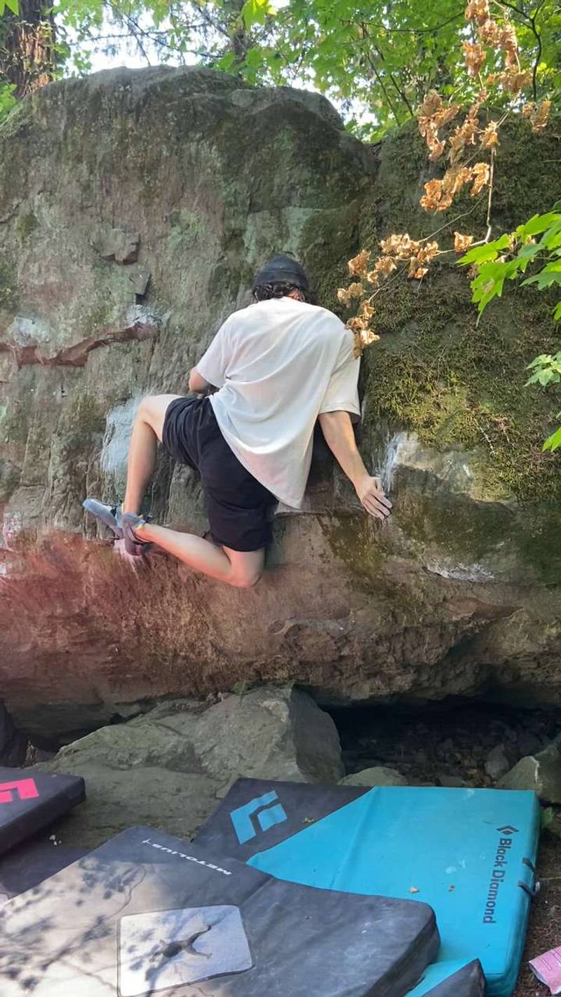 Fish and Grits v7, Carver - Beta Video from TommySegovia