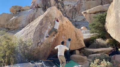Scatterbrain v6, Joshua Tree - Beta Video from nicholasludwig