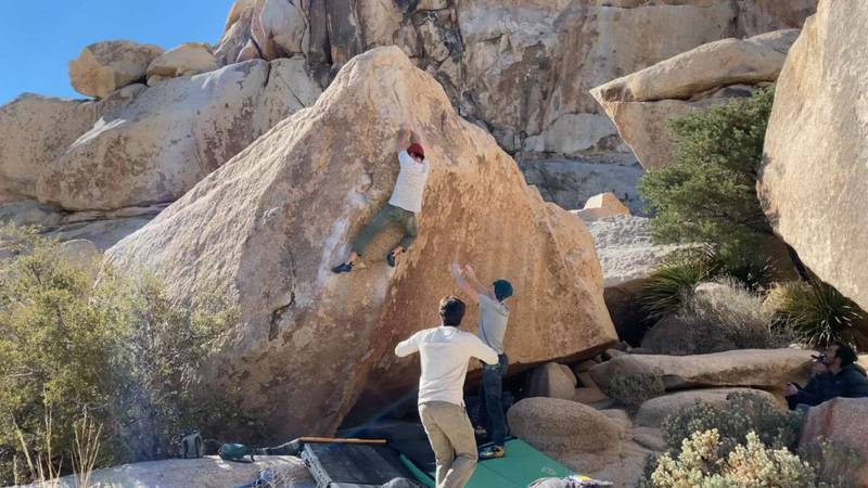 Scatterbrain v6, Joshua Tree - Beta Video from nicholasludwig