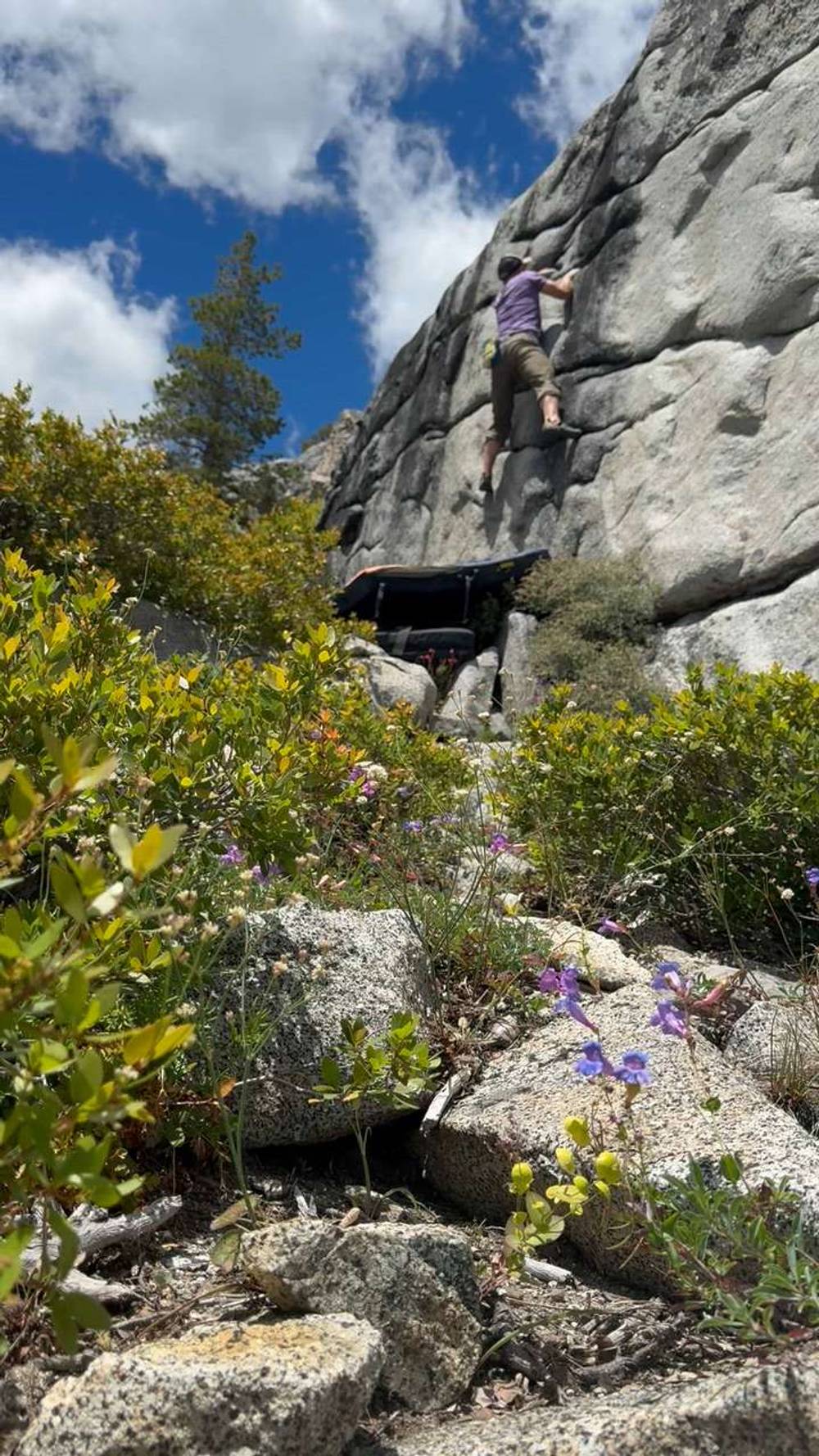 Zebra Crossing v4, Lake Tahoe - Beta Video from Neddy
