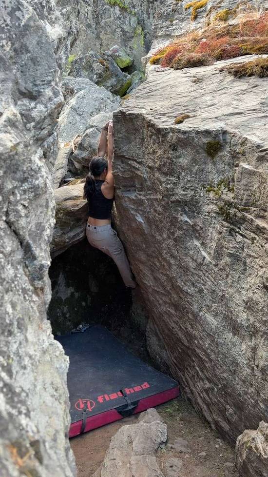 Mothra v5, Kelowna - Beta Video from taimichon