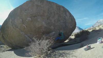 Smooth Shrimp v6, Bishop - Beta Video from seanmorris