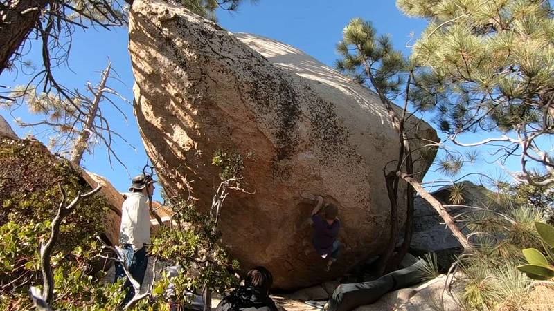 Arbor Day Sit v7, Horse Flats - Beta Video from Daddison