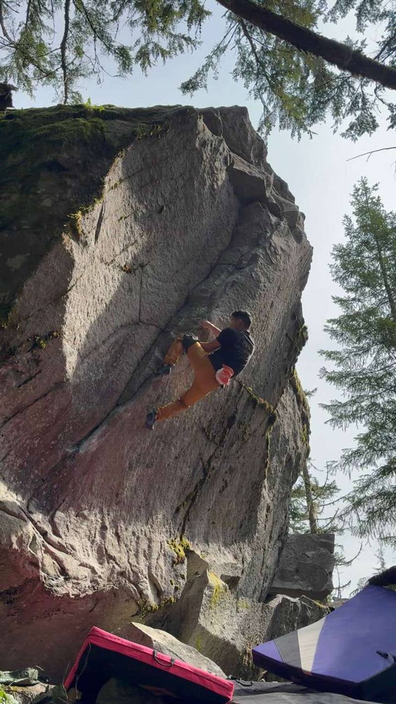 Wild Bill v10, Gold Bar - Beta Video from adambeau