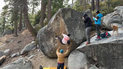 Vegan Shoveler v7, Black Mountain - Beta Video from nicholasludwig