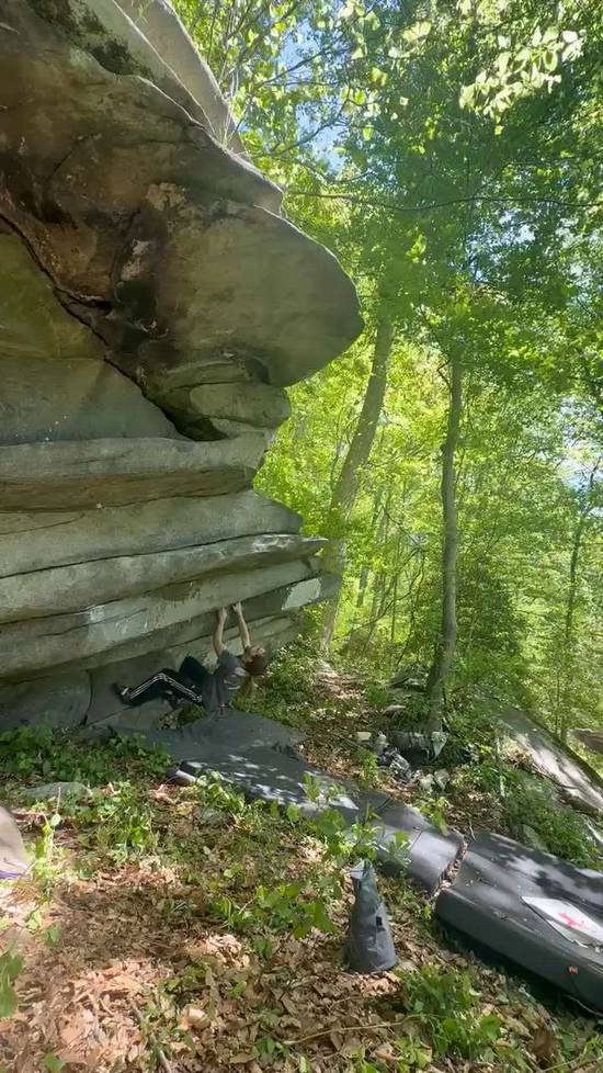 Zenvega Dyno v3, Gunpowder Falls - Beta Video from mciganik