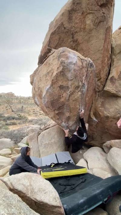 Mulligan Variation v7, Joshua Tree - Beta Video from FlashyBoy