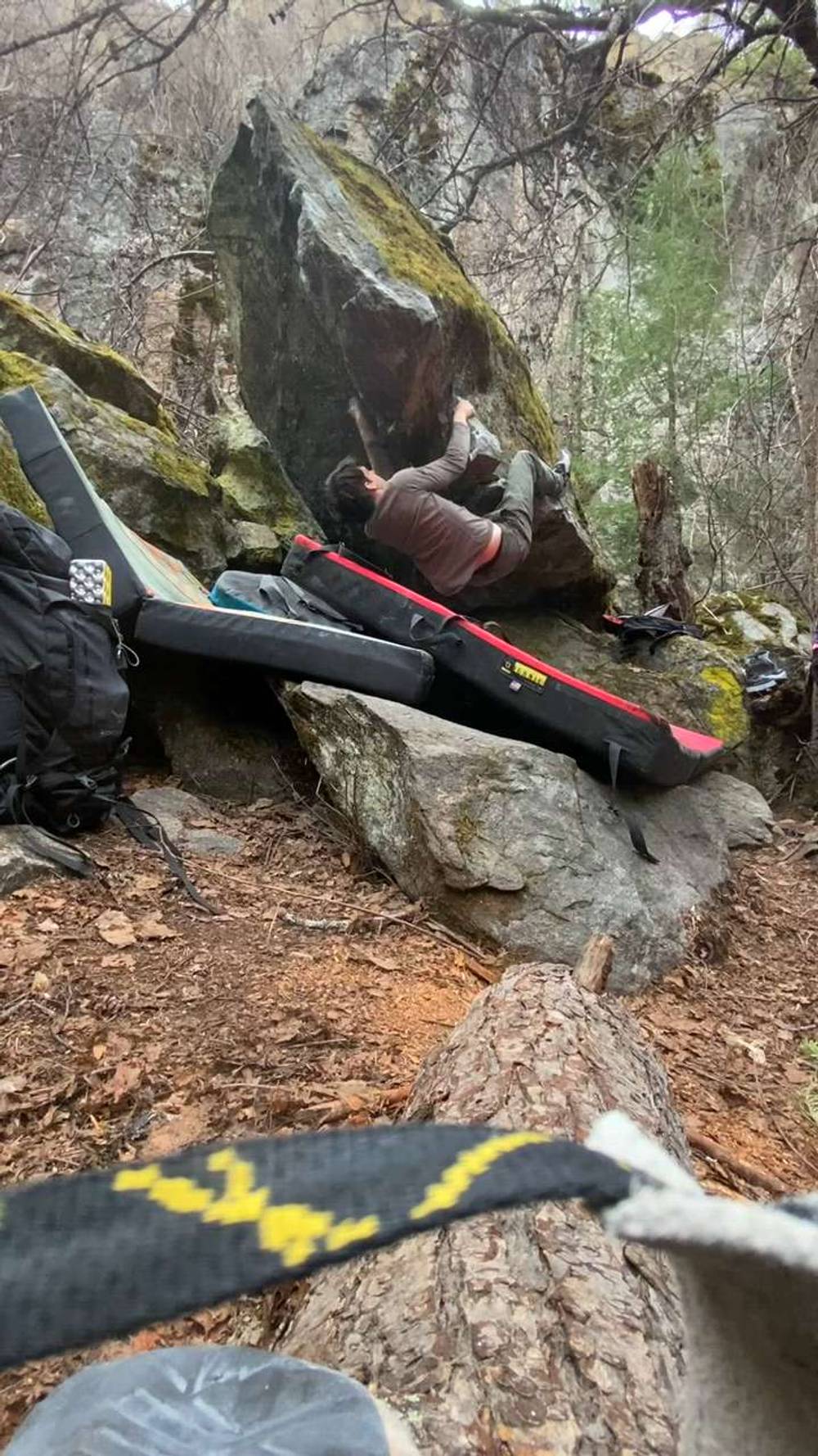 Jaws v4, Vernon - Beta Video from tredford