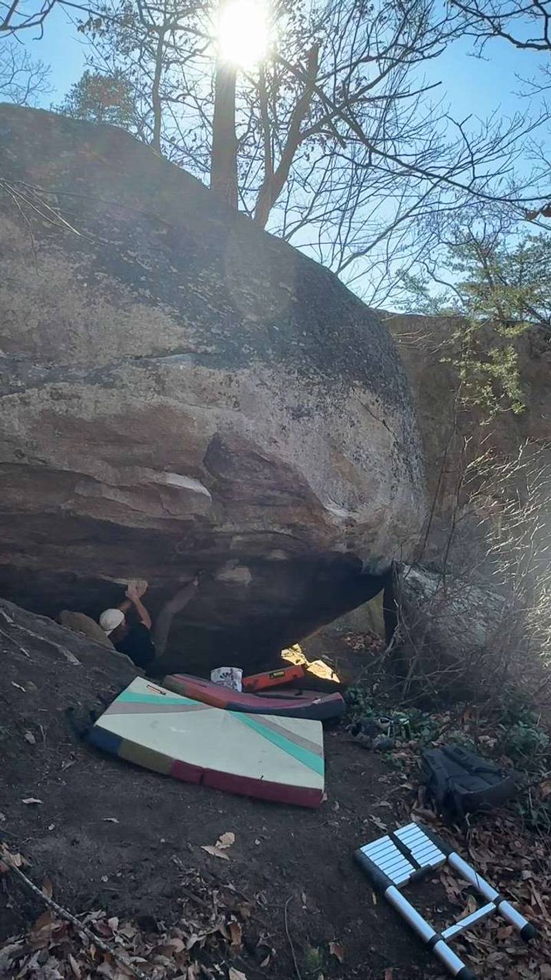 Jelly of the Month Club v8, Big Rock, SC - Beta Video from YukonCornelius