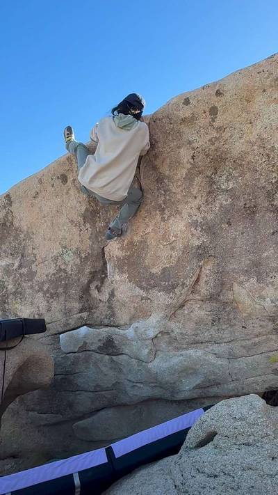 Don't Mess with Texas v1, Joshua Tree - Beta Video from CharlitaS