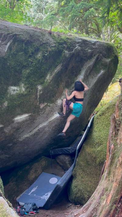 The Network v5, Index - Beta Video from connie.climbthenics