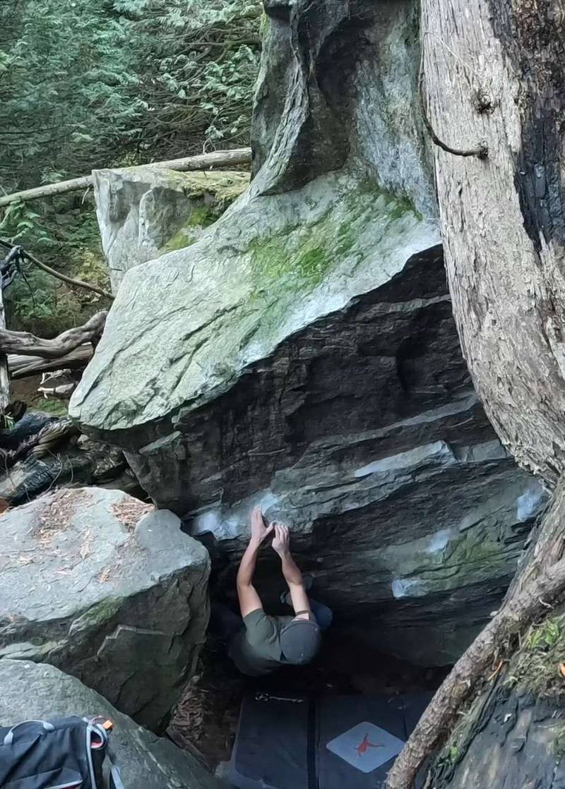 Force Awakens, Direct v8, Fraser Valley - Beta Video from Nich_Viger