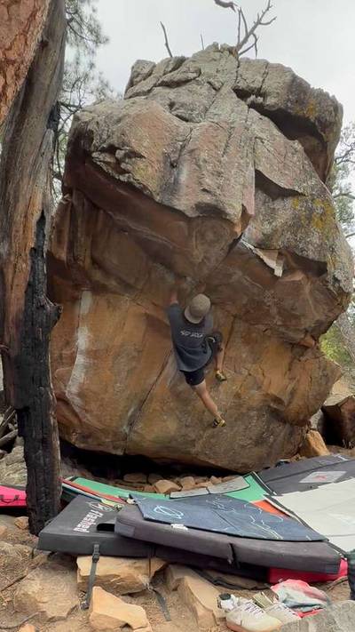 Pebble Cup v7, Roy - Beta Video from brando
