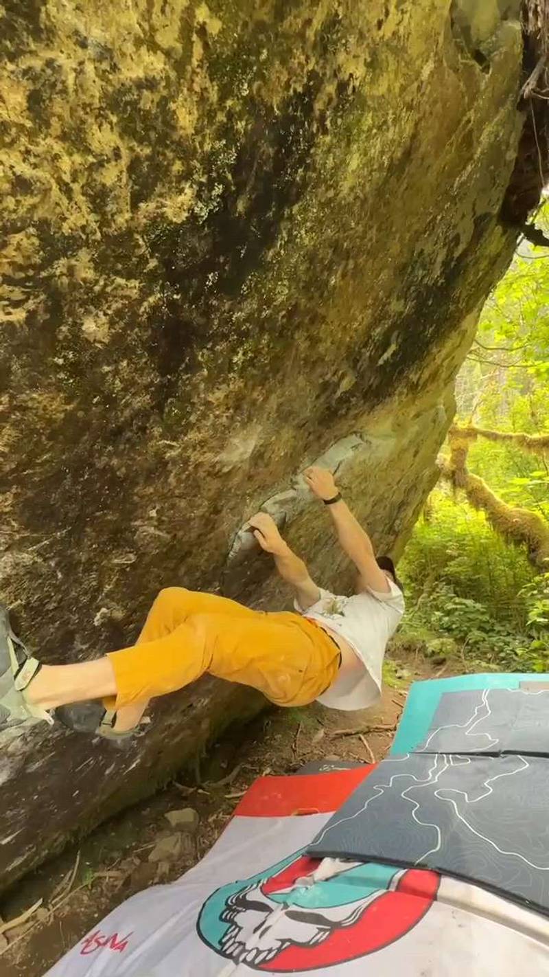 Swamp King v10, Miller River - Beta Video from LoganP00