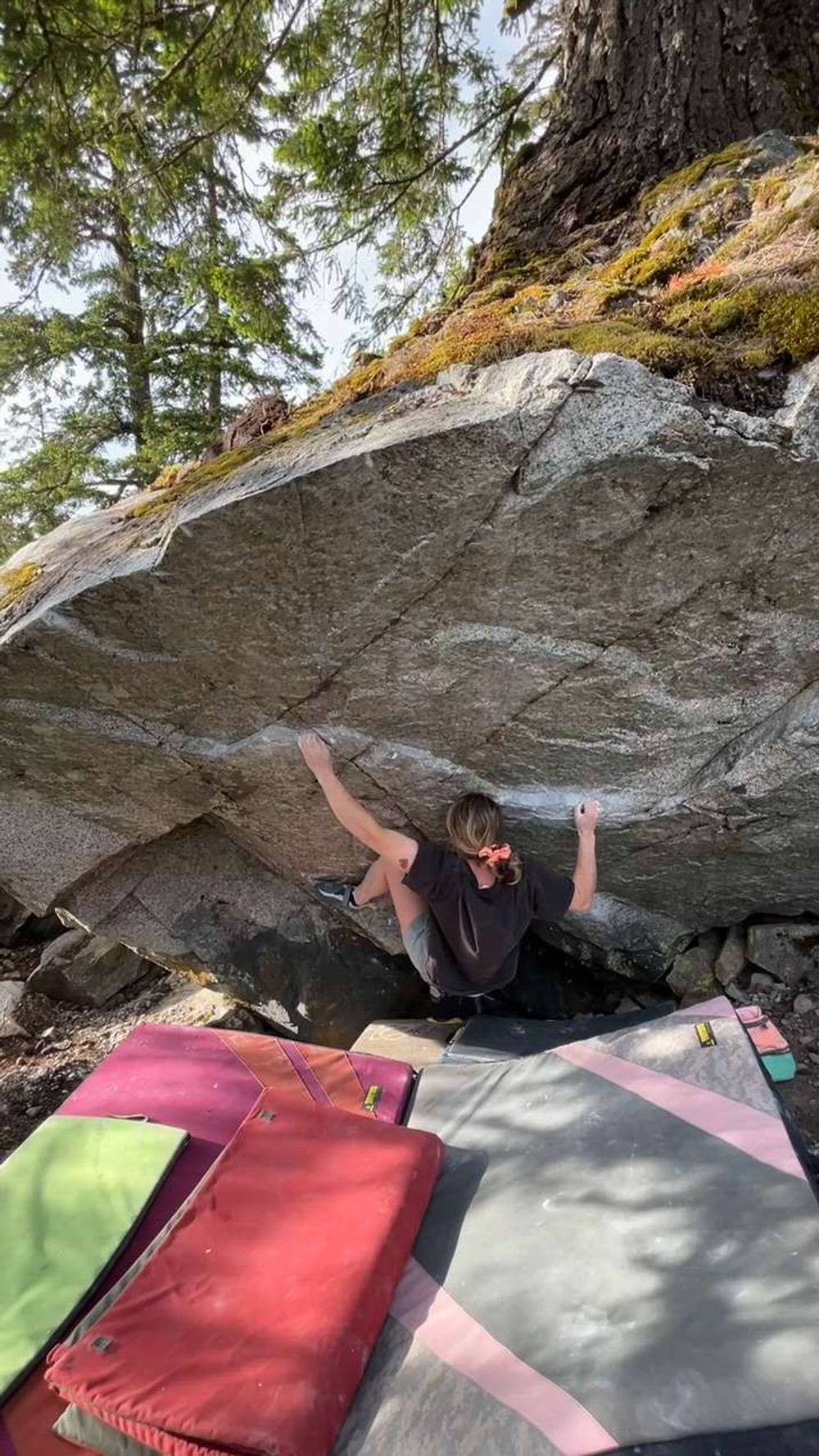 The Gardener v10, Squamish - Beta Video from ashley