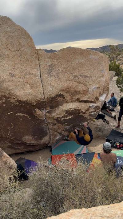 Strawberry Contraceptives v7, Joshua Tree - Beta Video from Branerd