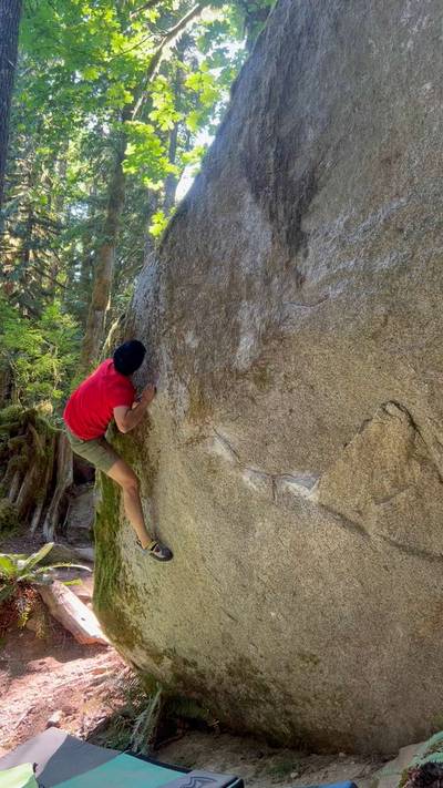 Flying Honey Badger v7, Index - Beta Video from spicytomato