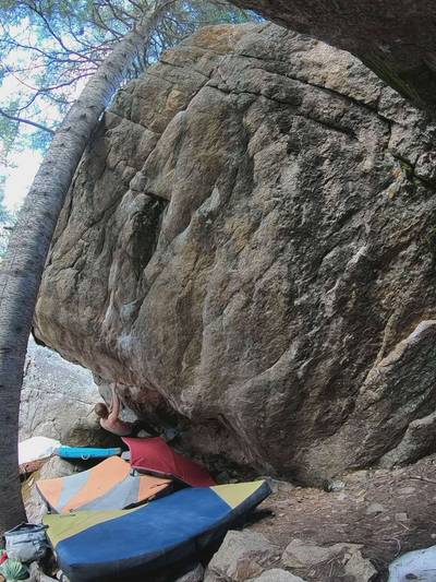 The Finch v9, Rocky Mountain National Park - Beta Video from Austin