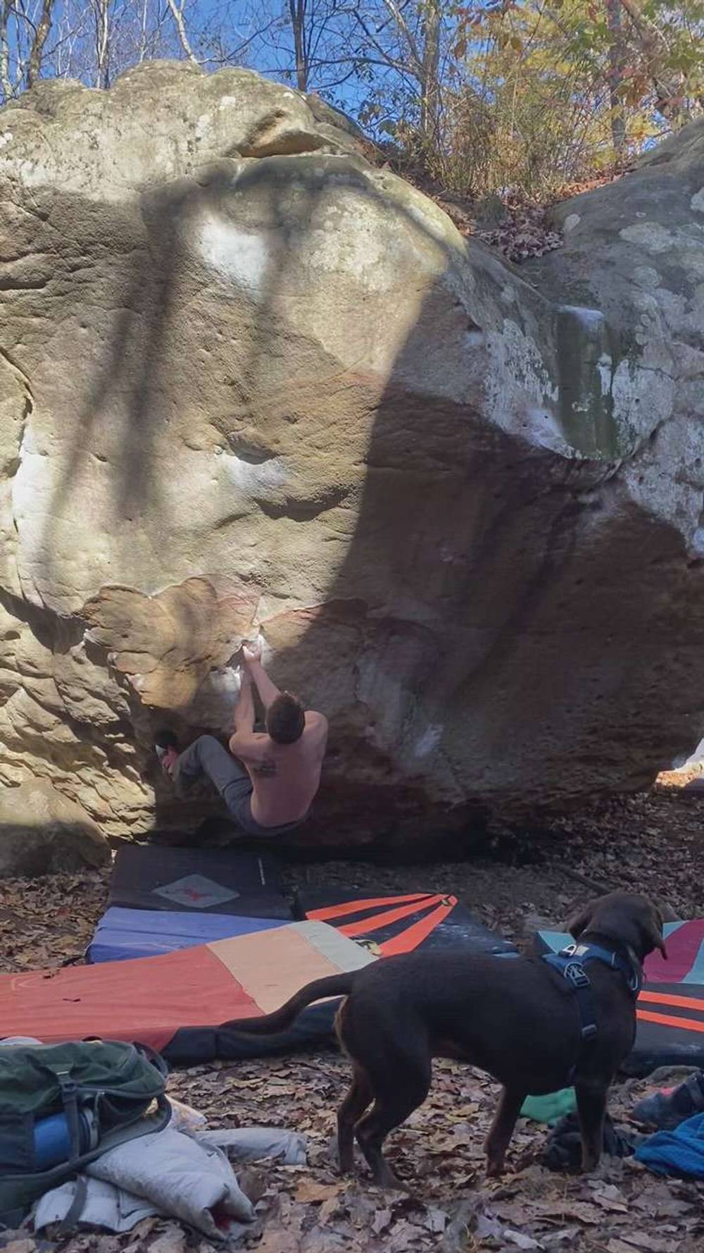 Pray Like A Mantis (sit) v11, Zahnd - Beta Video from JordanLovesHummies