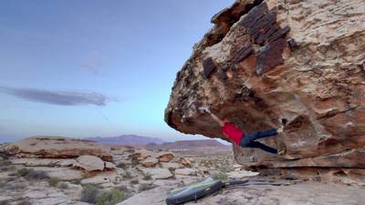 Dinosaur Direct v8, Moe's Valley - Beta Video from c_healy