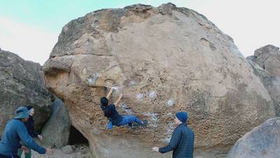 Morning Dove White v7, Bishop - Beta Video from anniebani