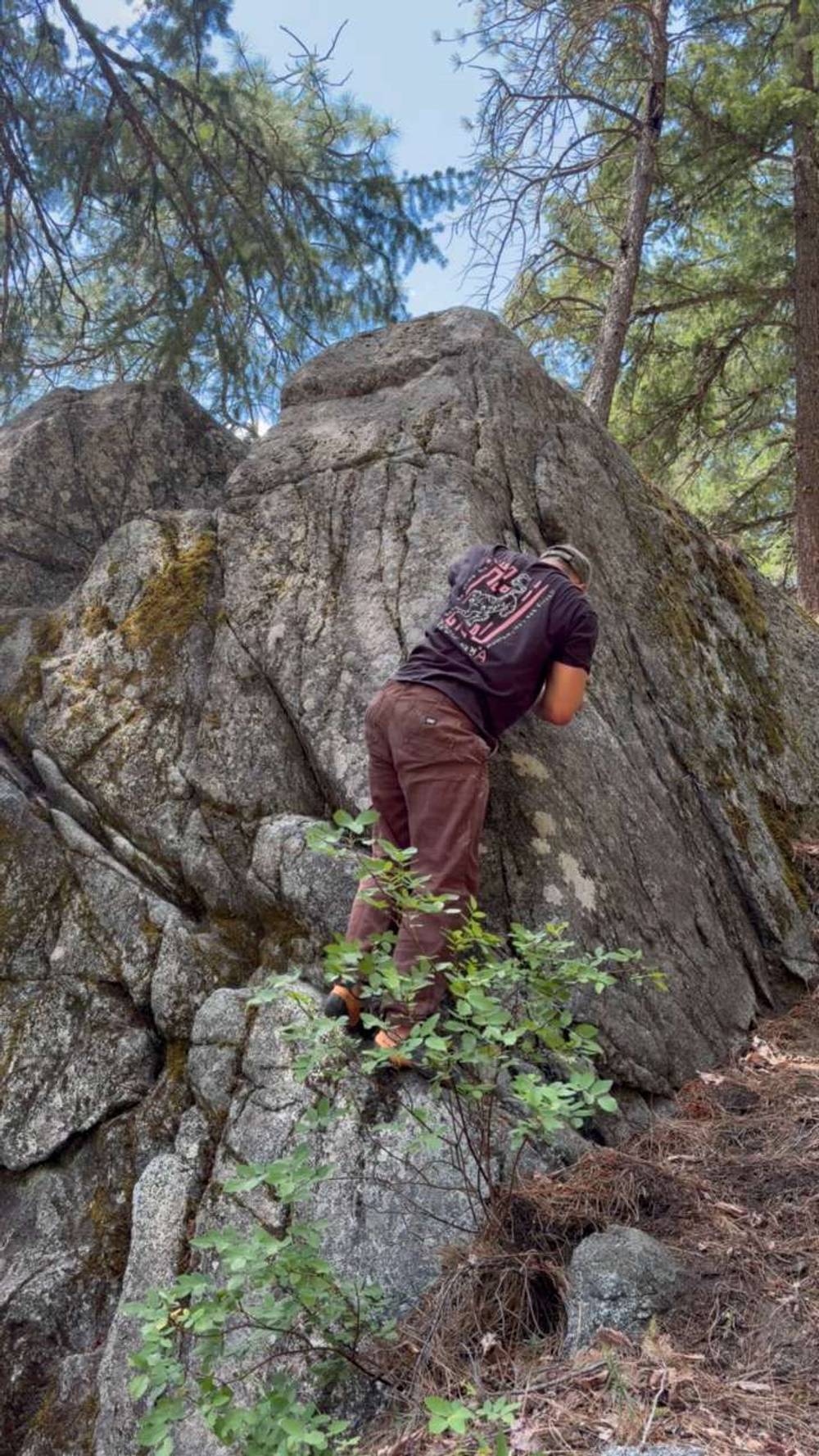 Dingleberry Junction v0, Leavenworth - Beta Video from beefs