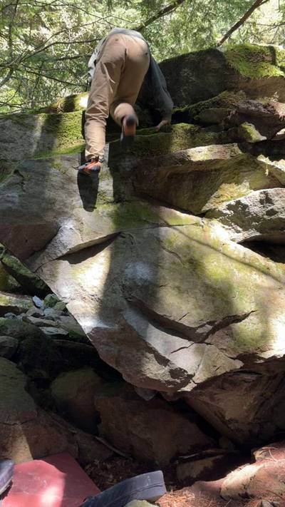 Rhino Chin v5, North Bend - Beta Video from beta_fish