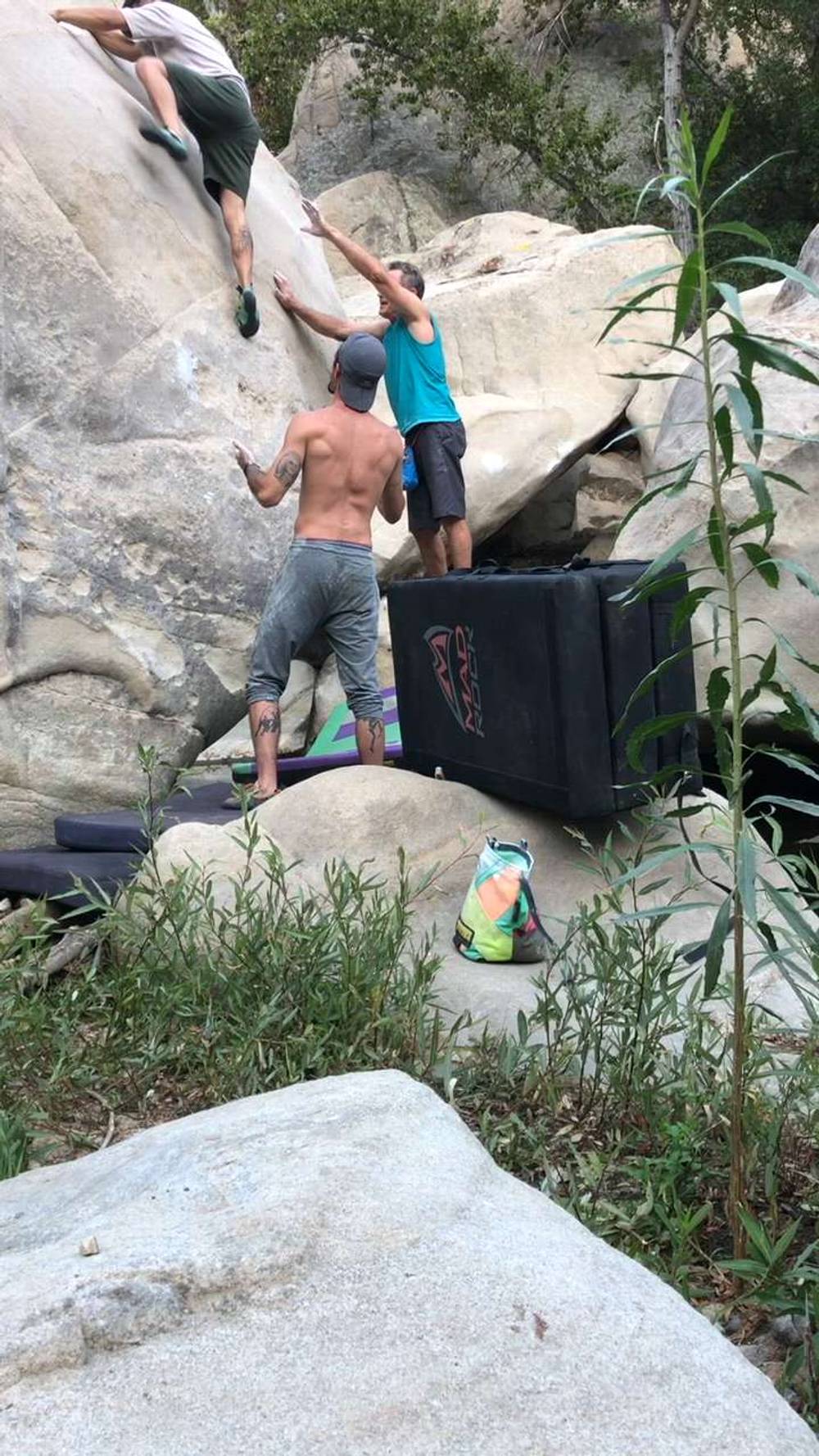 Beluga Whale v2, Malibu - Beta Video from keav