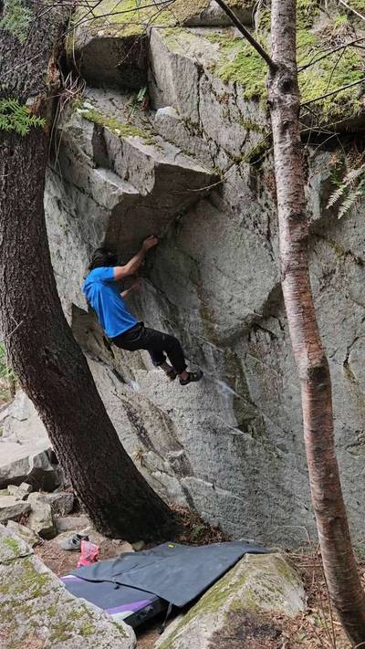 Bambi v8, Gold Bar - Beta Video from vpinto