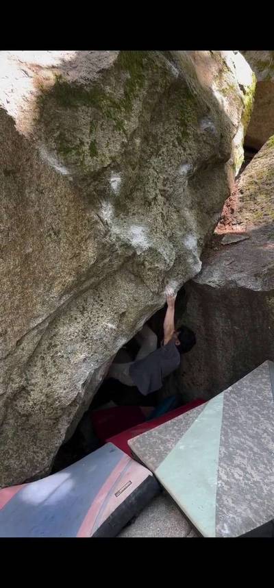 Mosquito Incubator v8, Squamish - Beta Video from BrianYang