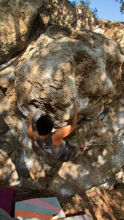 Sunshine v5, Berkeley - Beta Video from addddittt