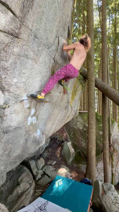 Fern Crack v3, Gold Bar - Beta Video from NathanRocks