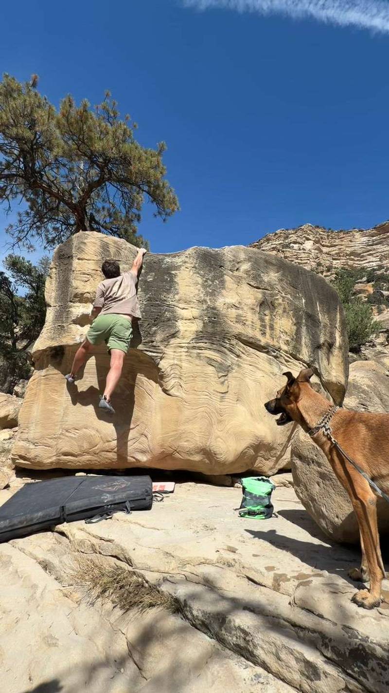 Long John v4, Joe's Valley - Beta Video from slapthesloper