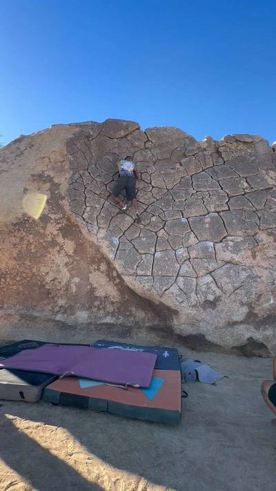 Ilicit Sweetie v0, Joshua Tree - Beta Video from The_Master_Beta