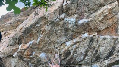 Drop the Clutch v10, Ogden - Beta Video from gnix6