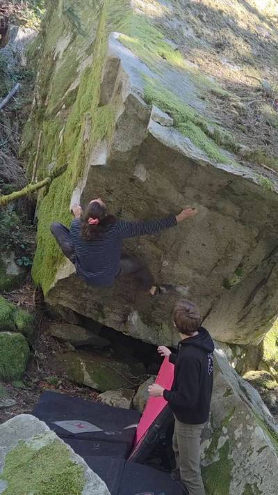 World's Best V7 v7, Gold Bar - Beta Video from grifffffffin
