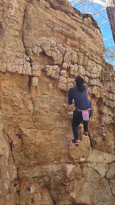 Donkey Show v0, Horseshoe Canyon Ranch - Beta Video from DynoBeta