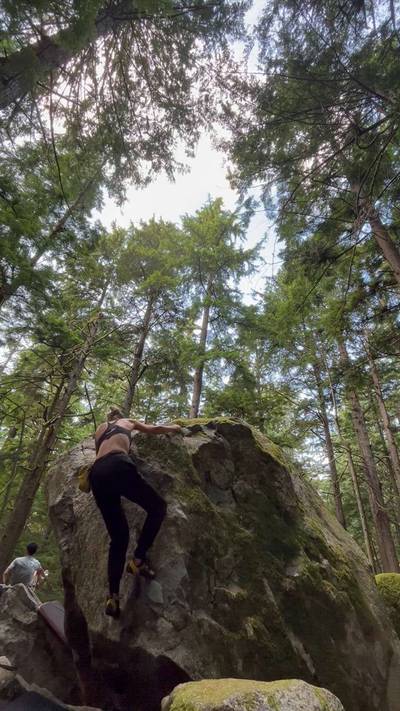 Carpenter Ants v1, Squamish - Beta Video from Fanie