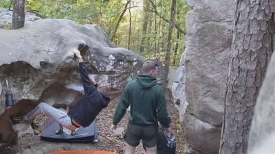 Turtle Head Left v0, Horse Pens 40 - Beta Video from CameronBentley