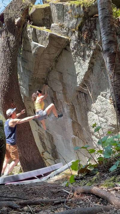 Bambi v8, Gold Bar - Beta Video from lauramarie43