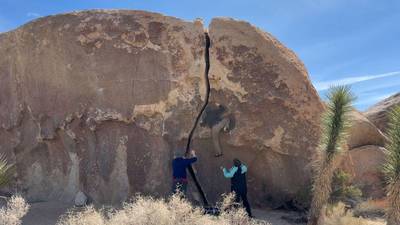 Wormhole v0, Joshua Tree - Beta Video from matlac
