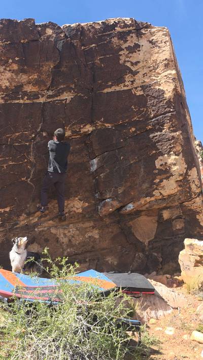 American Dream v3, Red Rock - Beta Video from TinyDynos