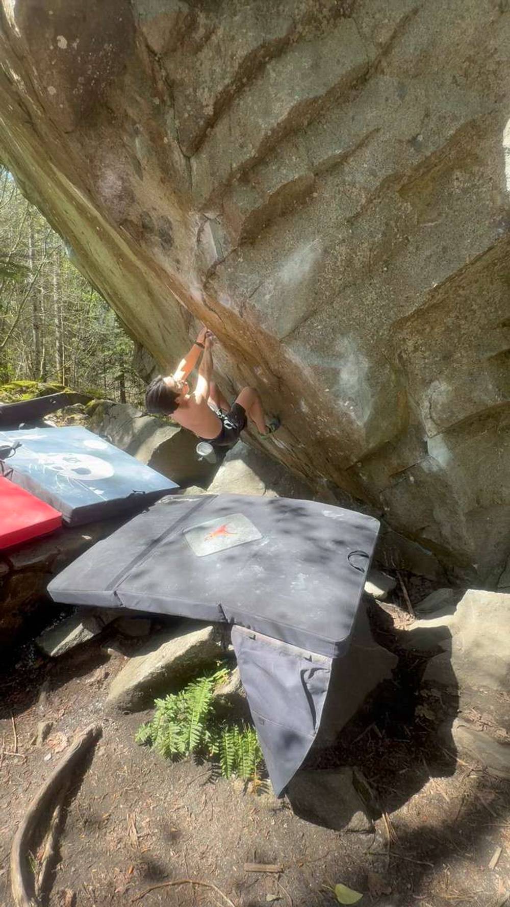 Ross Bongo Left v9, Gold Bar - Beta Video from benloke