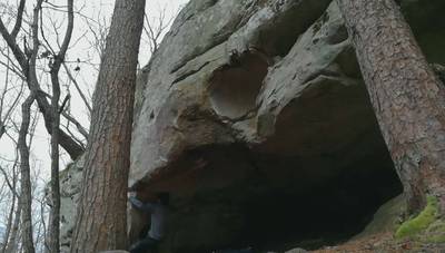 Rhino low v10, Zahnd - Beta Video from fvkkvlt